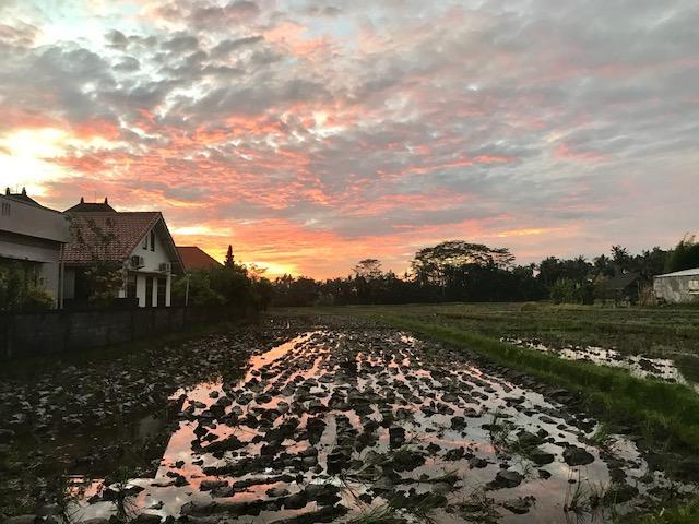 Heavenly View Villa Убуд Экстерьер фото
