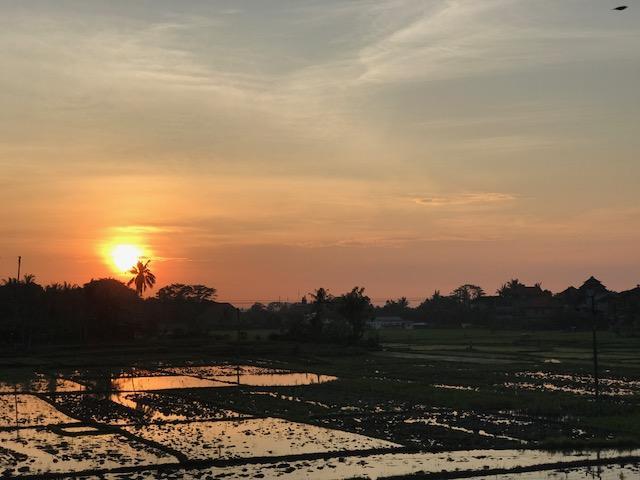 Heavenly View Villa Убуд Экстерьер фото