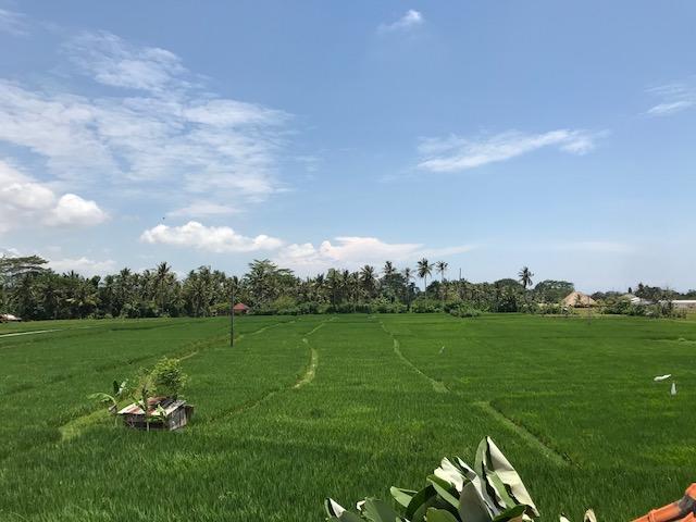 Heavenly View Villa Убуд Экстерьер фото