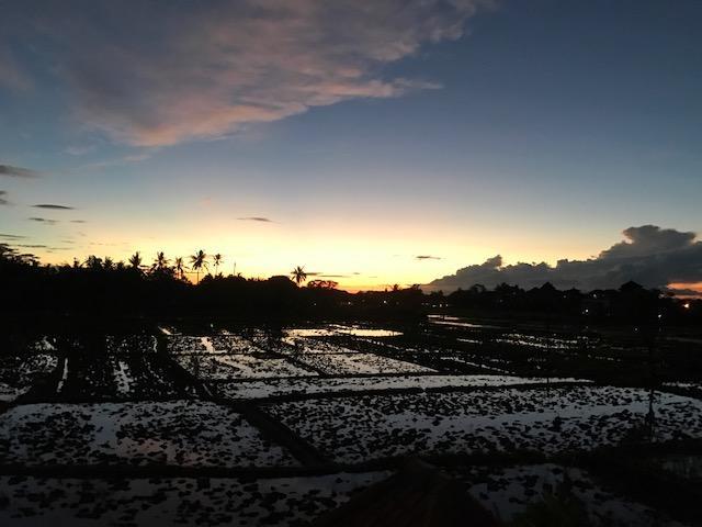 Heavenly View Villa Убуд Экстерьер фото