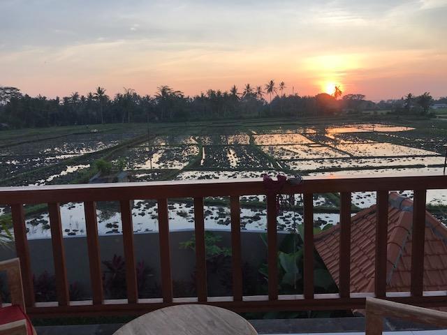 Heavenly View Villa Убуд Экстерьер фото