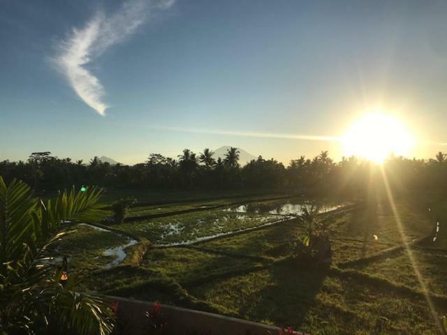 Heavenly View Villa Убуд Экстерьер фото